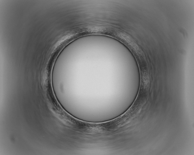 X0000113150583200909041235