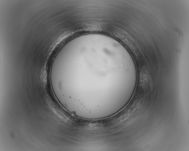 X0000113150584200909041235