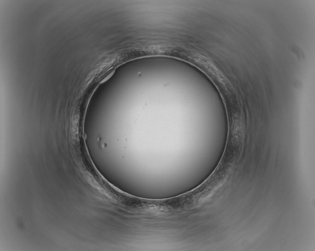 X0000113150585200909041235