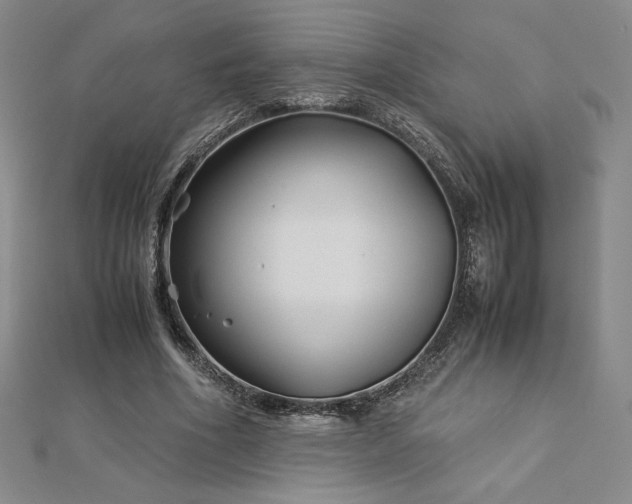 X0000113150586200909041235