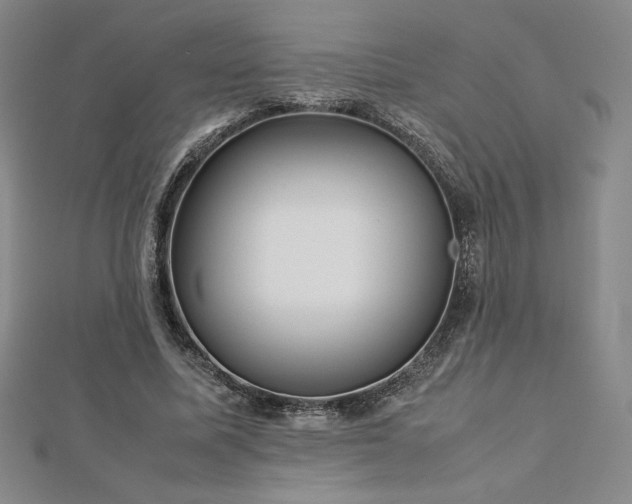 X0000113150587200909041235