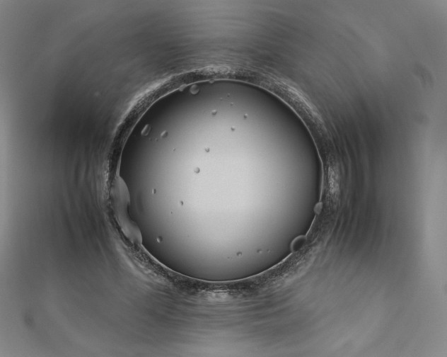 X0000113150588200909041235