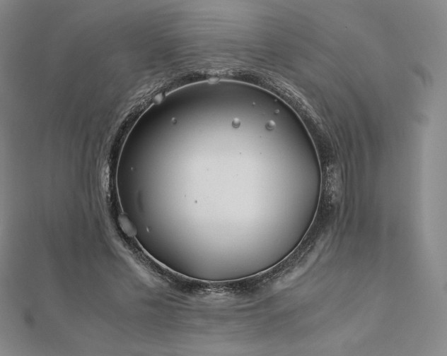 X0000113150589200909041235