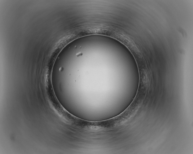 X0000113150590200909041235