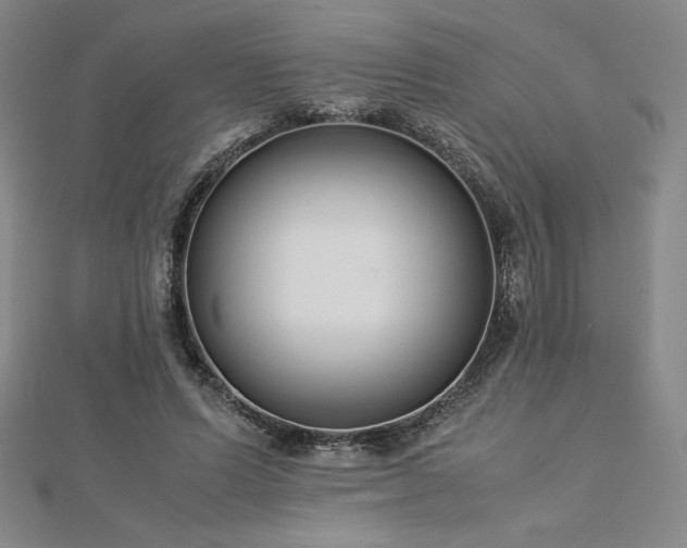 X0000113150591200909041235