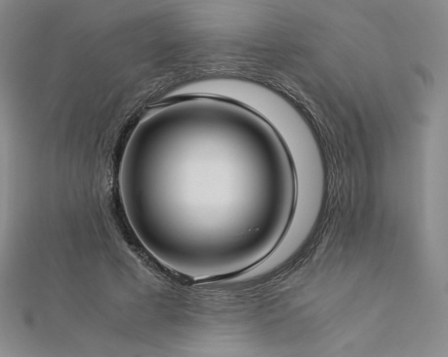 X0000113150593200909041235