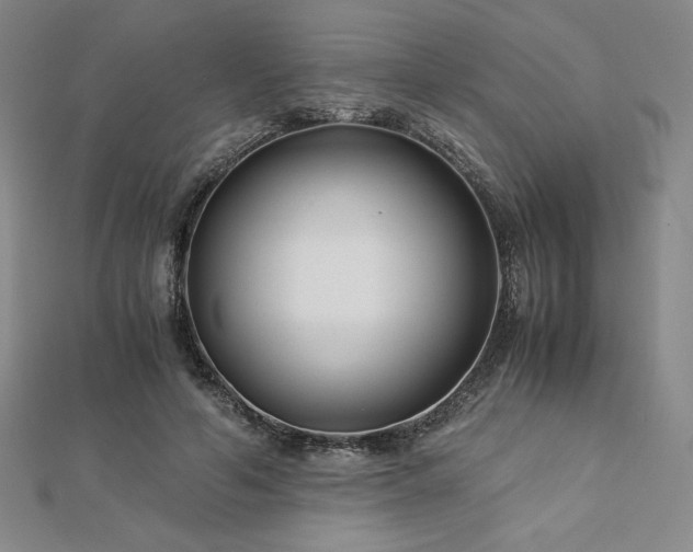 X0000113150594200909041235