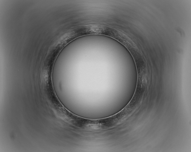 X0000113150595200909041235