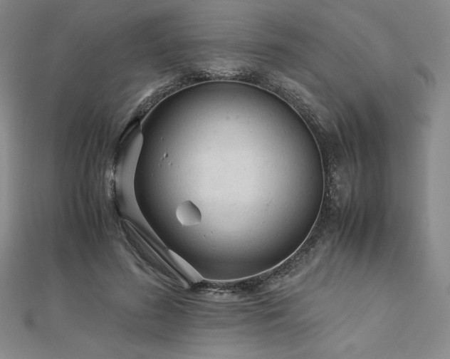 X0000113150596200909041235