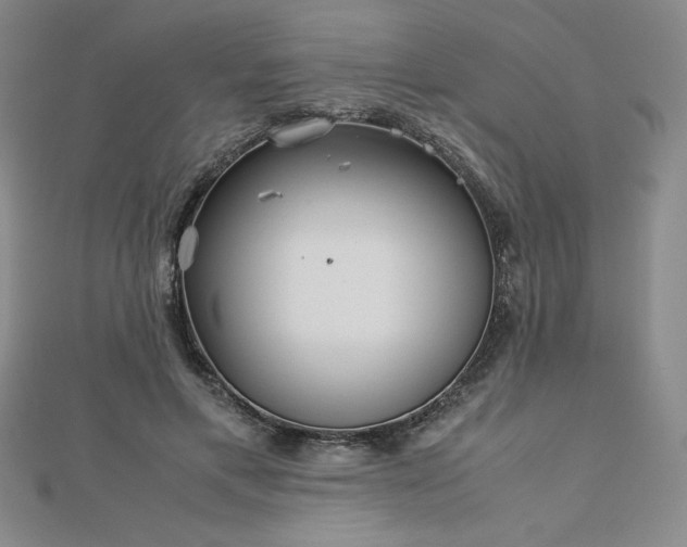 X0000113150597200909041235