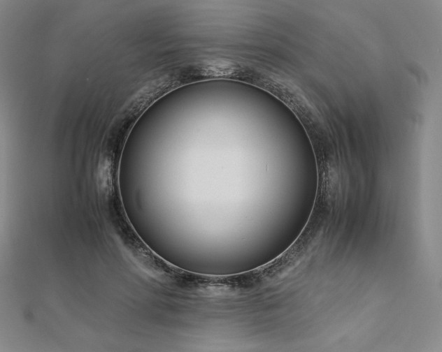 X0000113150598200909041235