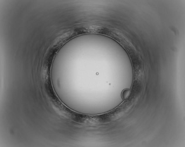 X0000113150599200909041235