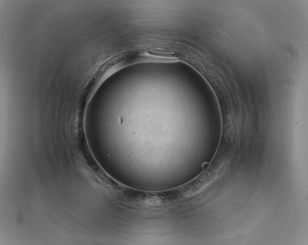 X0000113150600200909041235