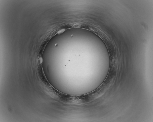 X0000113150601200909041235