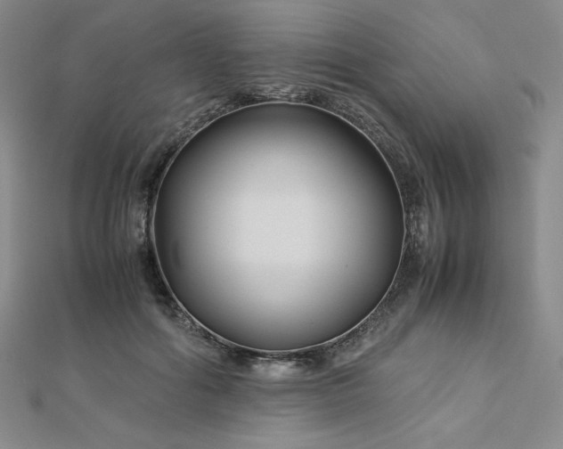 X0000113150602200909041235