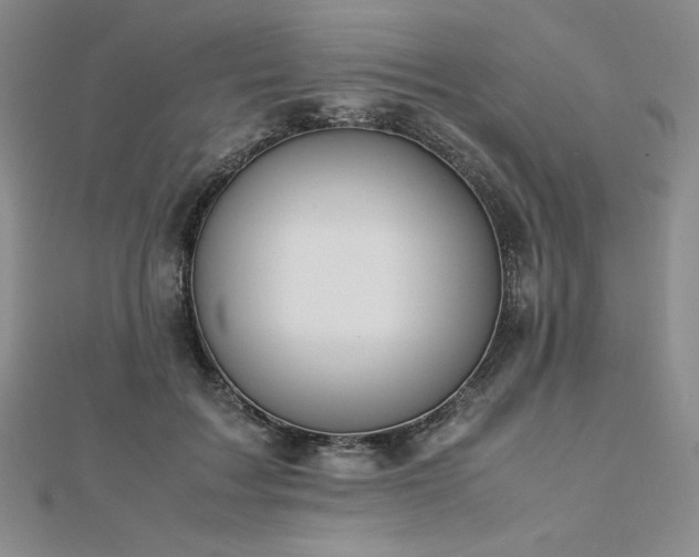 X0000113150603200909041235