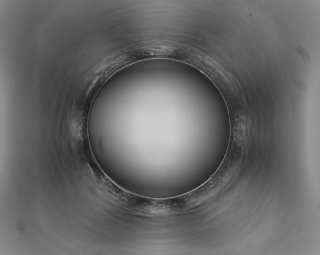 X0000113150604200909041235