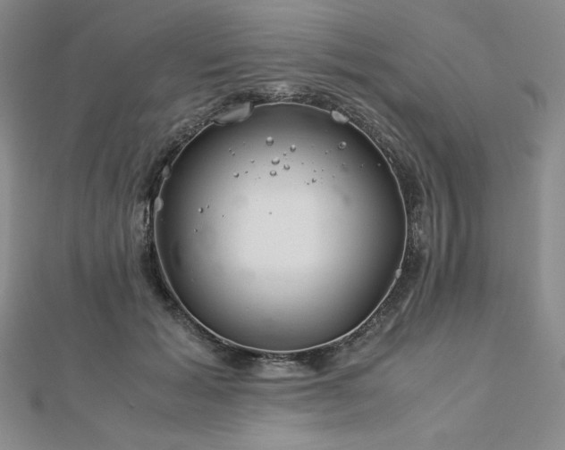 X0000113150605200909041235