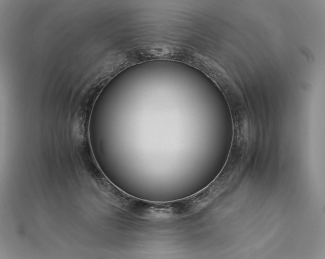 X0000113150606200909041235