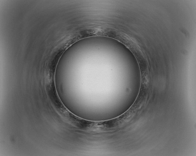 X0000113150607200909041235