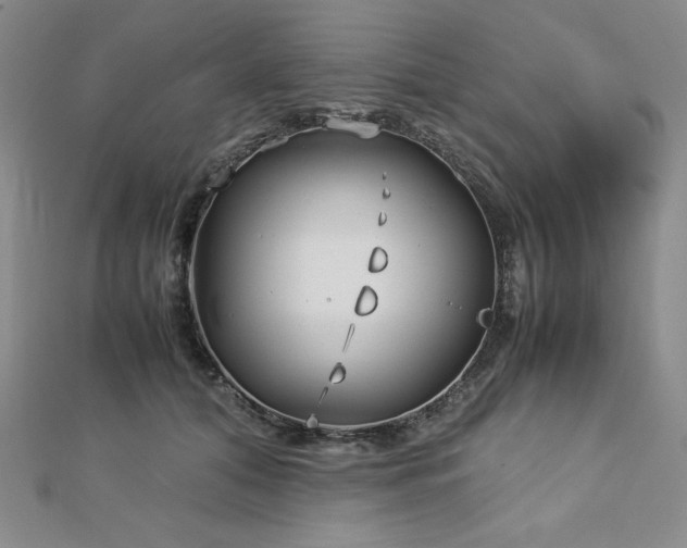 X0000113150608200909041235