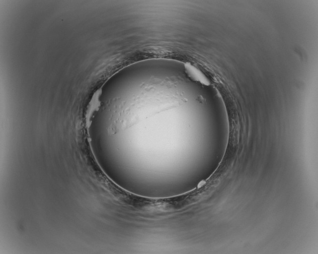 X0000113150609200909041235