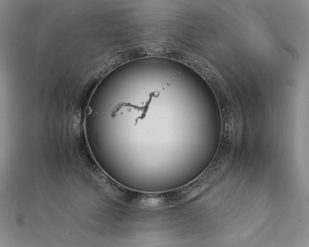 X0000113150610200909041235