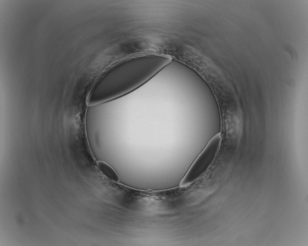 X0000113150611200909041235