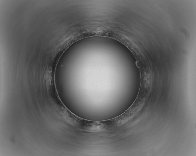 X0000113150612200909041235