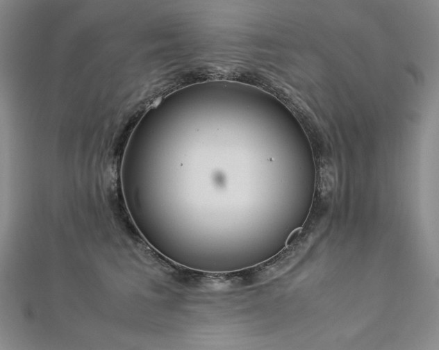 X0000113150613200909041235