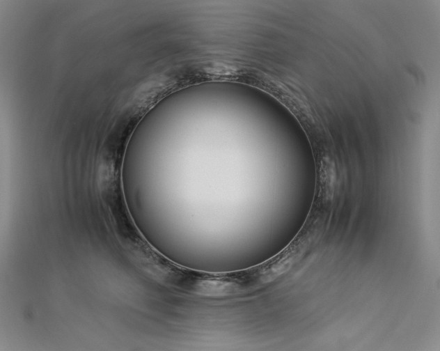 X0000113150614200909041235