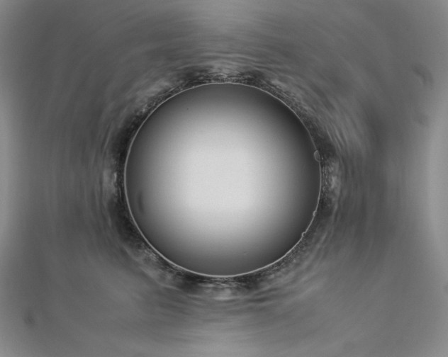 X0000113150615200909041235