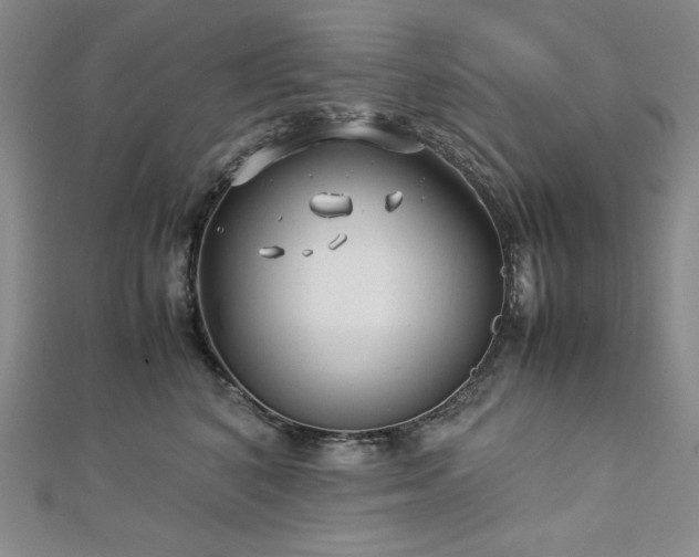 X0000113150616200909041235