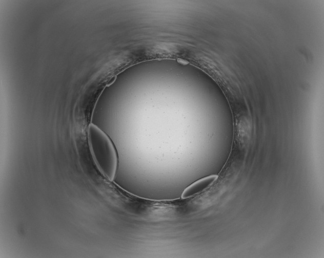 X0000113150617200909041234