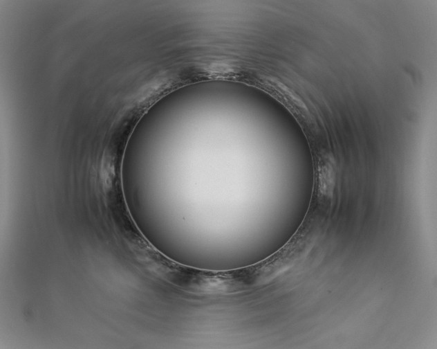 X0000113150618200909041234