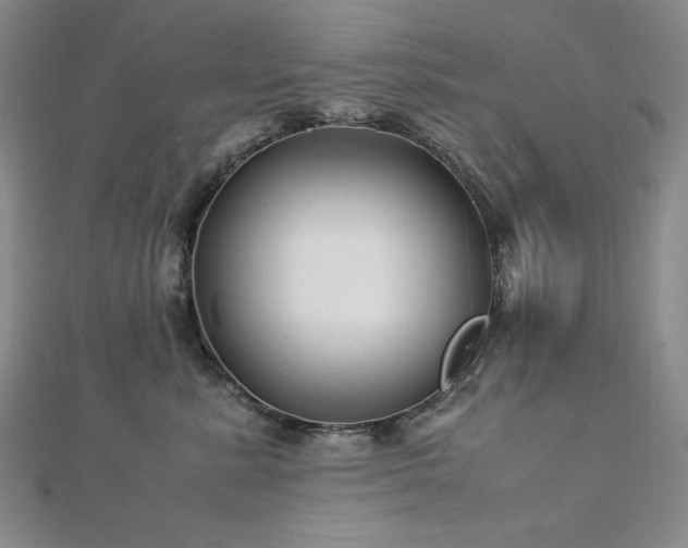 X0000113150619200909041234