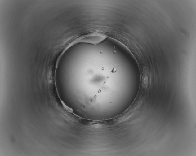 X0000113150620200909041234