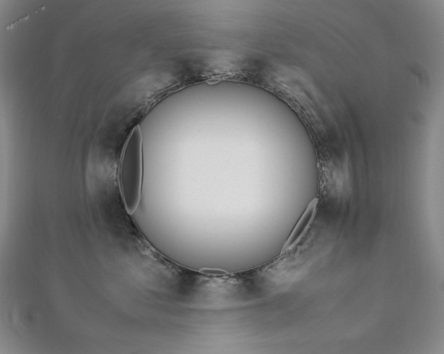 X0000113150621200909041234