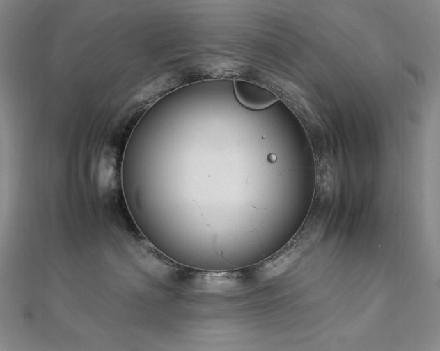 X0000113150622200909041234