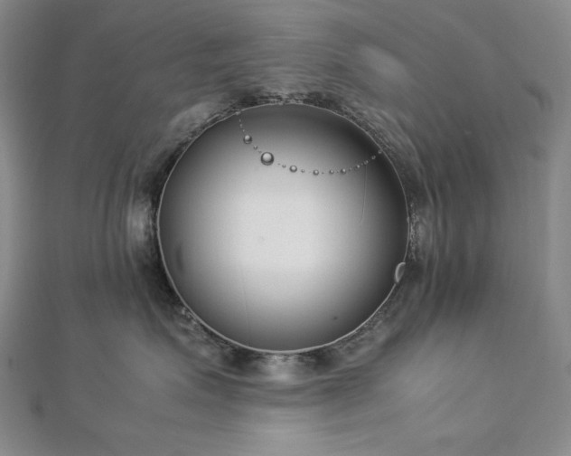 X0000113150623200909041234