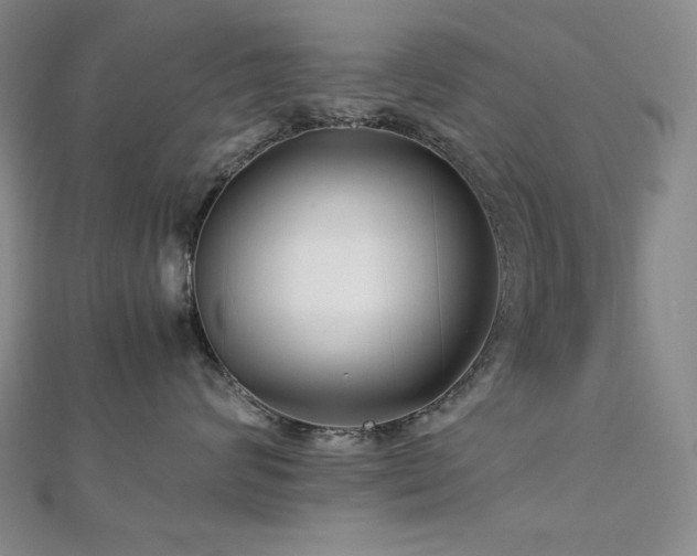 X0000113150624200909041234