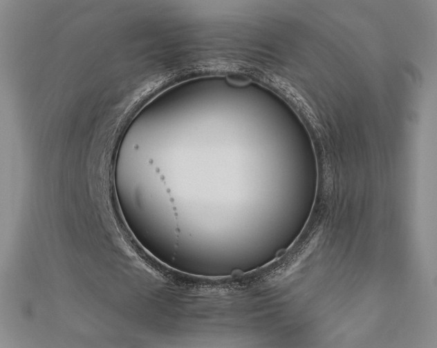 X0000113150625200909041234