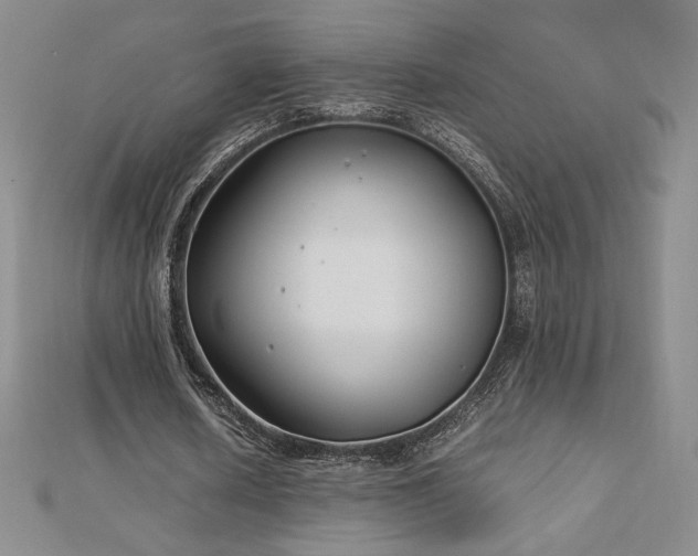 X0000113150626200909041234