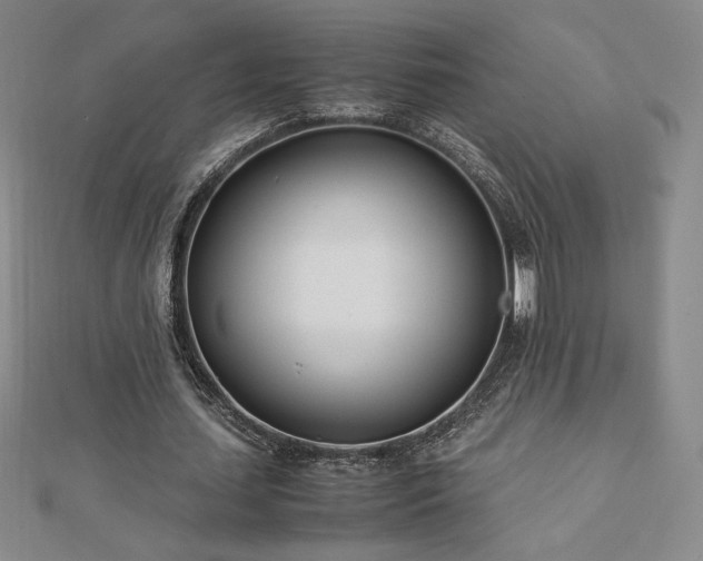 X0000113150627200909041234