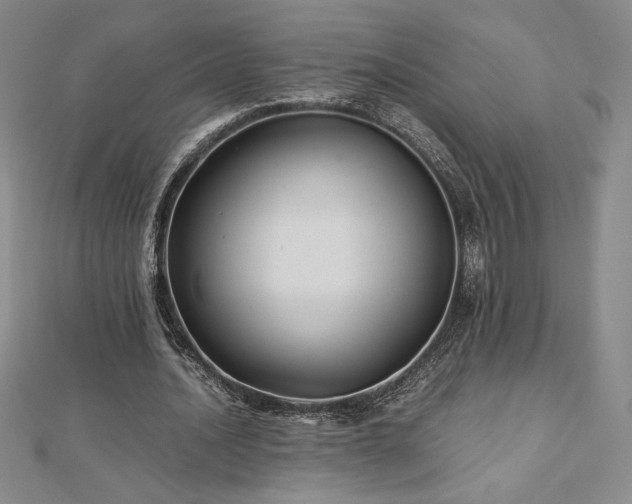 X0000113150628200909041234