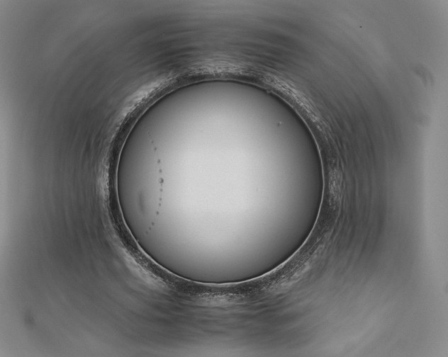 X0000113150629200909041234