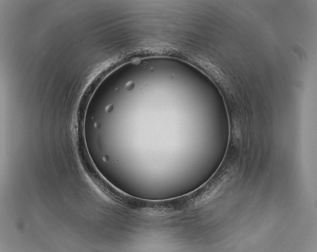 X0000113150630200909041234