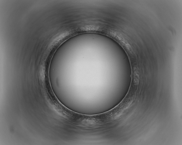 X0000113150631200909041234