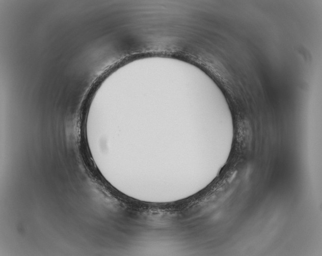 X0000113150632200909041234