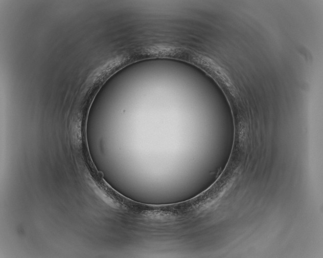 X0000113150633200909041234